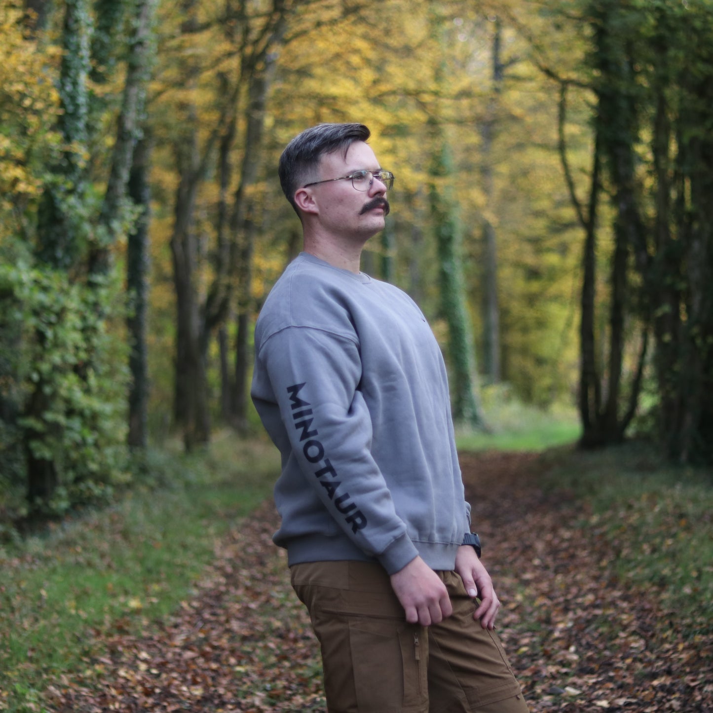 Sweat Oversize Minotaur gris