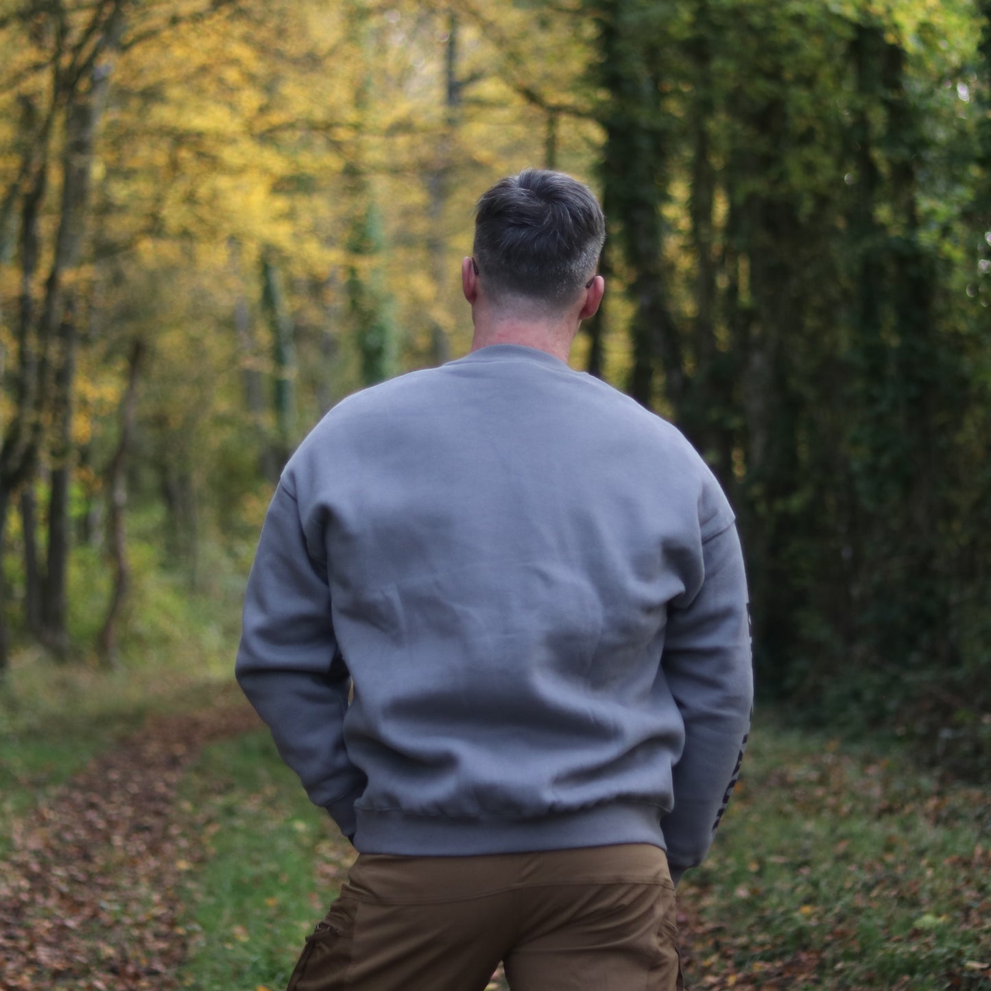 Sweat Oversize Minotaur gris