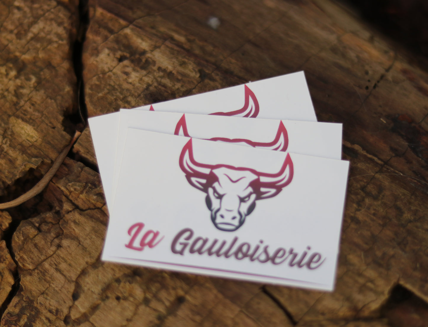 Sticker Gauloiserie couleur